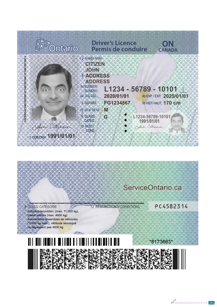 download Canada Ontario DL (2018 – present) version 2